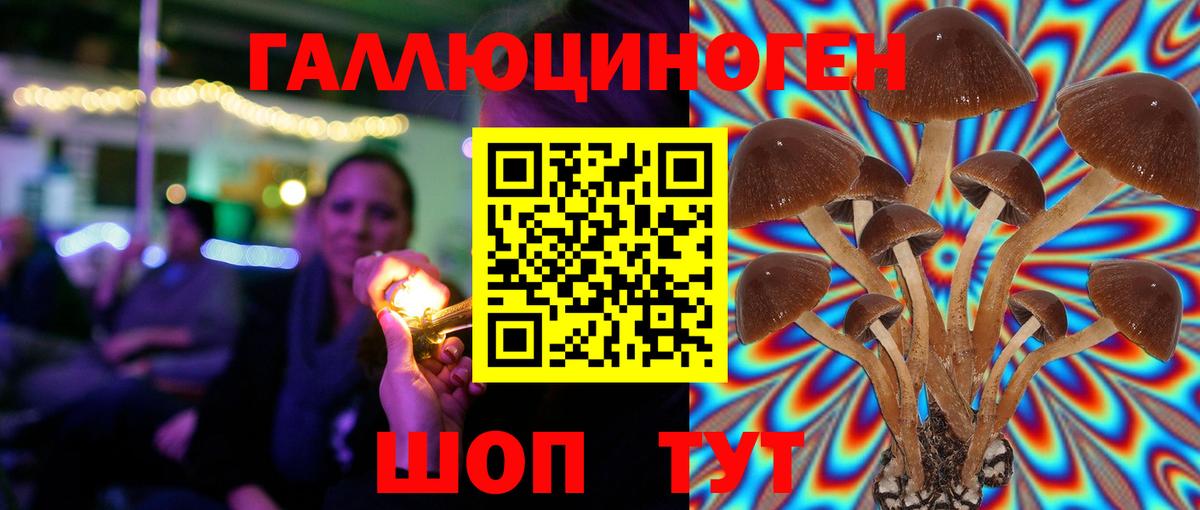 Псилоцибиновые грибы мухоморы  Вход с VPN  Похвистнево  продажа наркотиков  Галлюциногенные грибы Cubensis 