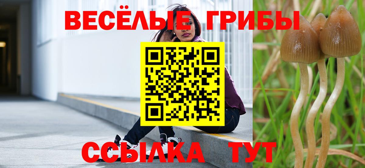 Галлюциногенные грибы Cubensis Похвистнево